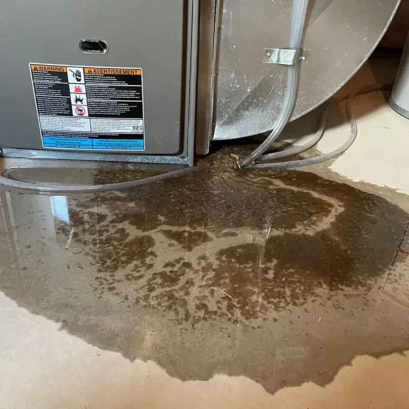 Appliance Leak Cleanup in Watterson Park, KY